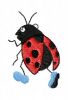 Ladybug2.jpg