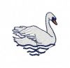 Swan_2.jpg