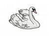 Swan_3.jpg